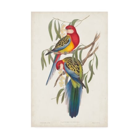 Trademark Fine Art John Gould 'Tropical Parrots Iv' Canvas Art, 22x32 WAG10950-C2232GG